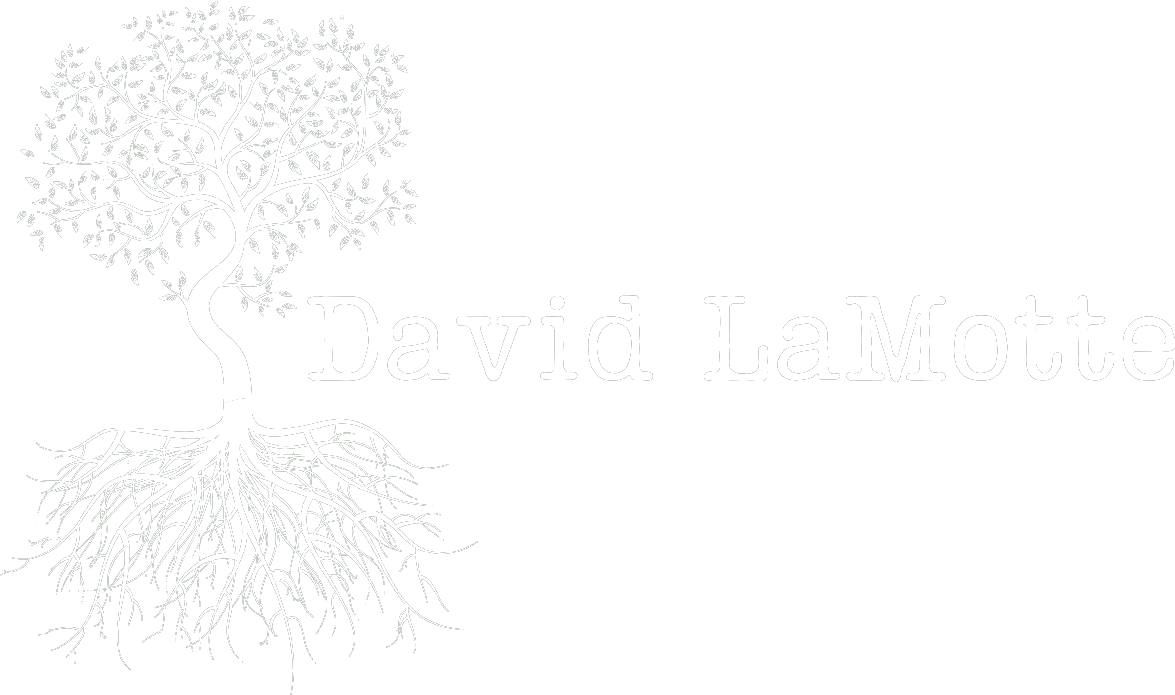 David LaMotte